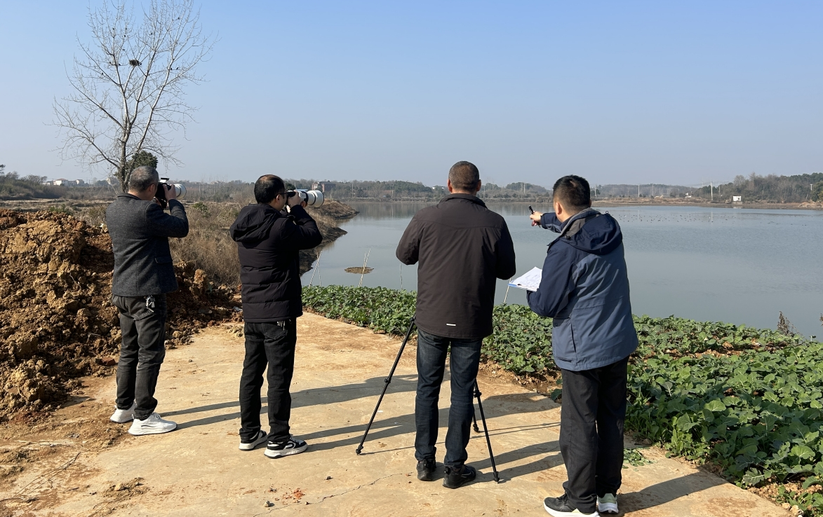 <a href="./gzdt/202601/t20260114_746414.html">我市开展2026年越冬水鸟同步调查监测</a>