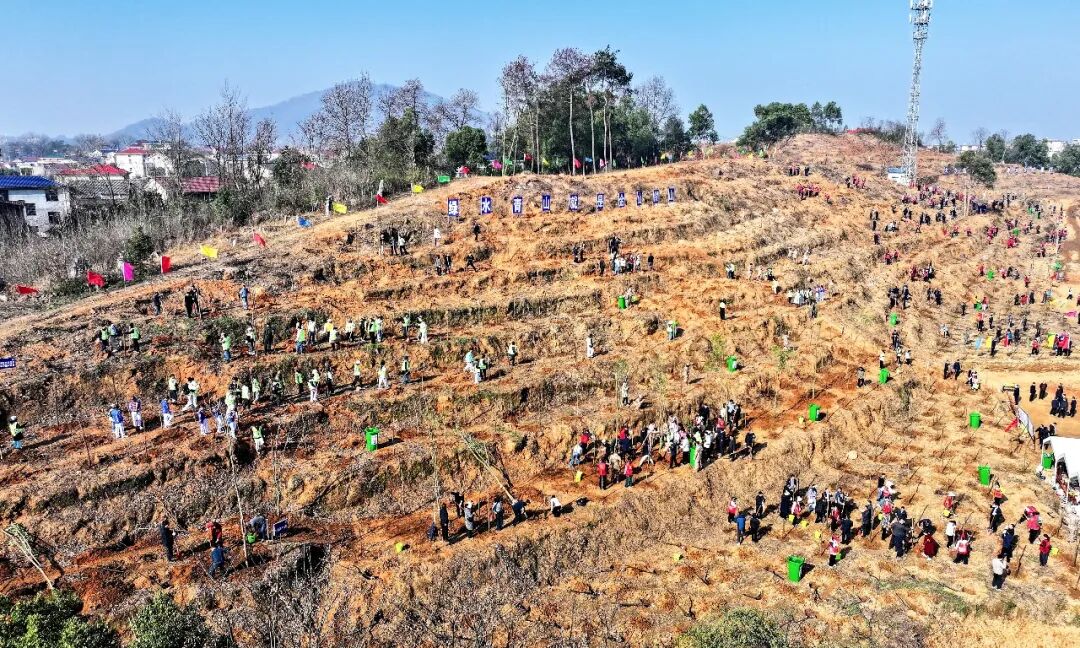 <a href="./sy/gzdt/202603/t20260312_753944.html">增厚“绿色家底”  添彩“美丽鄂州”  孙兵王玺玮等市领导参加义务植树</a>