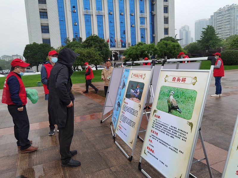 市地理信息中心开展"世界地球日"野生动物保护主题宣传活动